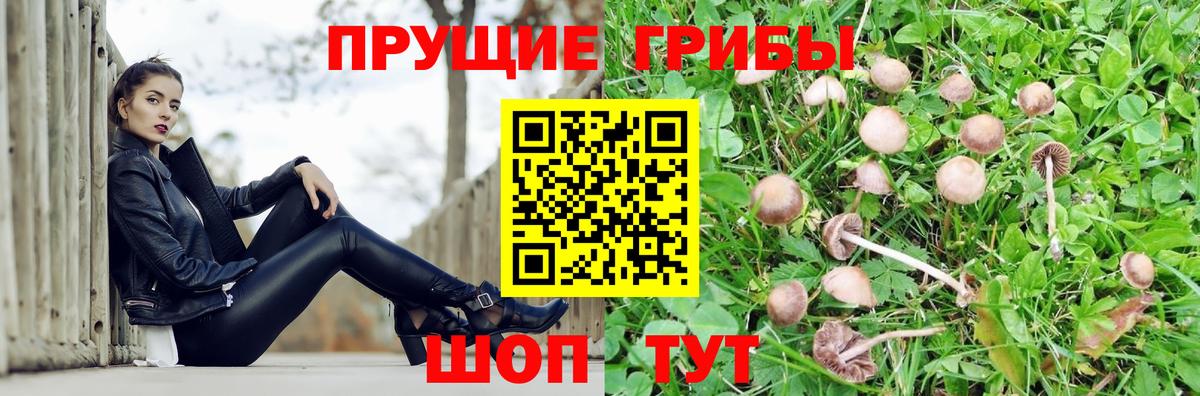 Галлюциногенные грибы MAGIC MUSHROOMS Мценск